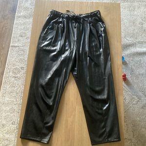 Zara vegan leather drawstring pants